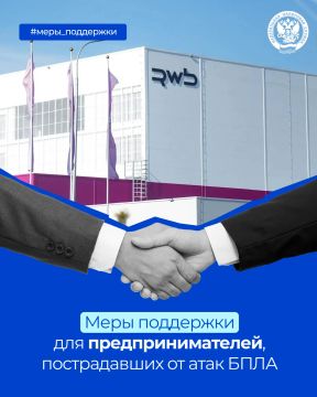 Правительство РФ утвердило меры поддержки предпринимателей, пострадавших от атак БПЛА