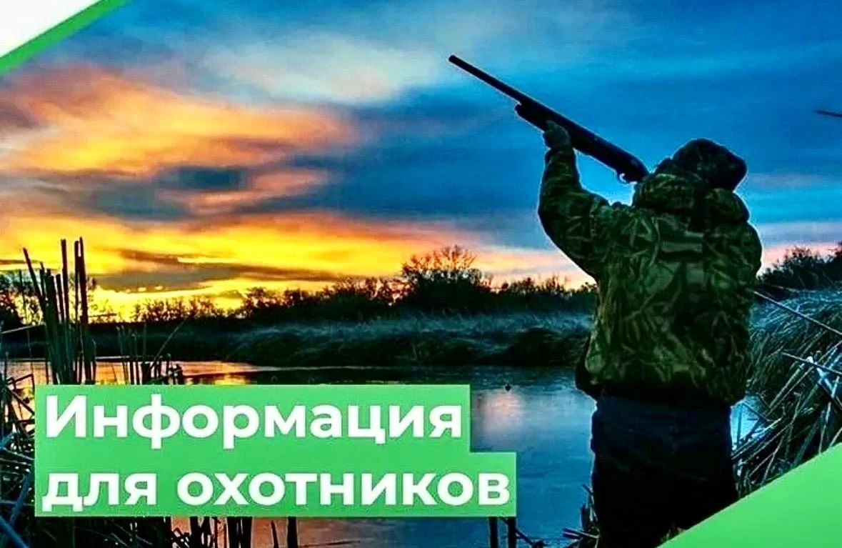 Внимание! Информация для охотников!
