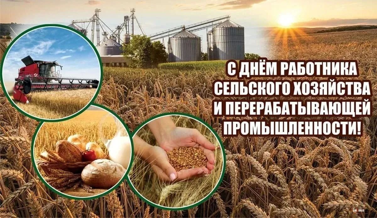 Поздравляю всех аграриев, работников фермерских хозяйств, сельскохозяйственных предприятий и перерабатывающей промышленности нашей страны с Днём работника сельского хозяйства и перерабатывающей промышленности!