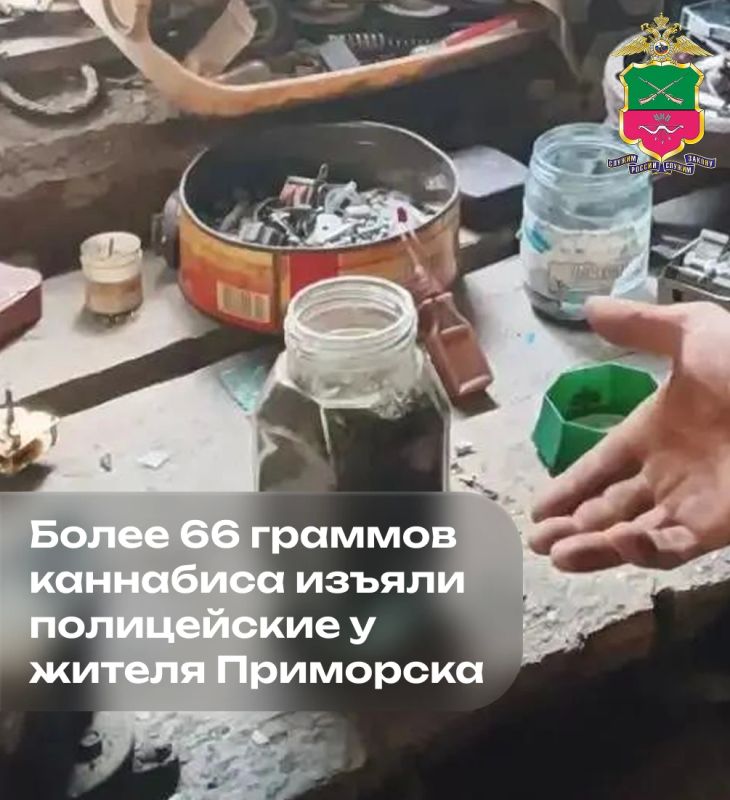 Более 66 граммов каннабиса изъяли полицейские у жителя Приморска